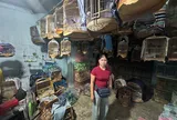 Bắt bà chủ Trương Thị Kim Hà  SN 1978 và Trạm trưởng Trạm Kiểm lâm Vũng Tàu Nguyễn Văn Lời