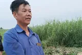 Xem livestream 5 học sinh đuối nước trên sông Lô, người đàn ông 53 tuổi tức tốc chạy 20km tới hiện trường, để làm điều không ai ngờ tới