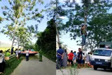 Giải cứu nghẹt thở ở Phú Thọ: Người đàn ông đứng trên cành cây 15m, diễn biến sau đó khiến nhiều người thót tim