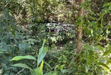 Người đàn ông mất tích nhiều ngày, thi thể được phát hiện trong lùm cây: Hé lộ cuộc gọi cuối cùng trước khi rời nhà