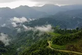 Loài động vật đã biến mất khỏi thế giới, nay được ghi nhận tại Việt Nam quý hiếm đến mức nào?