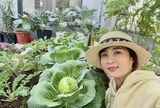 Cặp vợ chồng ở Đà Nẵng biến sân thượng 60 m² thành “nông trại mini”, rau trái xanh mướt quanh năm