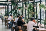 Từ 1/7/2026, những ai kinh doanh quán cà phê, nhà hàng có mở nhạc cần chú ý điều này
