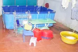 Bé trai 18 tháng tuổi tử vong tại điểm giữ trẻ tự phát ở Gia Lai: Hé lộ diễn biến đau lòng
