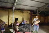 Bé chưa đầy 1 tuổi theo mẹ trú mưa bên đường giữa đêm ở Lào Cai: Câu chuyện phía sau khiến nhiều người xót xa