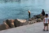 Clip: Nữ sinh đuối nước khi tạo dáng chụp ảnh, thái độ của người đi cùng mới đáng sợ