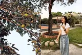 Ít ai biết Mỹ Tâm sở hữu không gian sống đáng mơ ước thế này