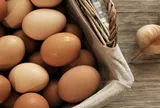 Nhiều người bảo quản trứng sai cách nên nhanh hỏng, đây là mẹo giúp trứng tươi cả tháng
