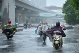 Dự báo thời tiết trong 3 ngày tới: 8 địa phương được cảnh báo mưa rất to