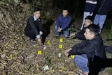 Lộ bí mật trên đồi vắng Hoành Bồ, 5 đối tượng bị bắt giam