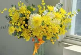 Hoa cúc vàng mang ý nghĩa gì mà được chuộng quanh năm? Không chỉ là may mắn, còn một điều ít ai biết