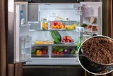 Cách khử mùi hôi tủ lạnh bằng nguyên liệu "rẻ tiền" trong nhà cực đơn giản