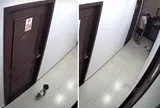 Chú chó nhỏ bị đá chết trong hành lang chung cư: Camera an ninh ghi lại hành vi phẫn nộ của nam thanh niên