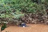 Thi thể nam giới đầu trọc trôi trên sông Cần Lê: Manh mối đặc biệt ở bàn tay gây chú ý