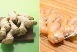 Cách bảo quản gừng tươi lâu cả nửa năm không lo hối hỏng hay mọc mầm cực đơn giản