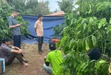Phát hiện thi thể người phụ nữ trong rẫy cà phê ở Đắk Lắk lúc nửa đêm: Bàng hoàng hung thủ gây án