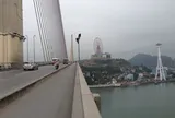 Đặc điểm thi thể nam giới trôi gần chân cầu Bãi Cháy vừa được phát hiện: Mặc áo sơ mi kẻ sọc, cơ thể có nhiều mảng da màu trắng