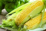 Bất ngờ 10 thực phẩm bình dân lại được chuyên gia đánh giá cao về chống lão hóa