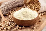 Uống bột đậu nành có tăng cân không? Sự thật nhiều người hiểu nhầm