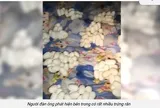 Vừa mở cửa nhà sau 6 tháng, người đàn ông sợ hãi lùi lại: Cảnh tượng bên trong khiến nhiều người nổi da gà