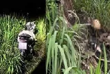 Diễn biến mới vụ bộ xương người tại khu vực Đại học Quốc gia TP.HCM: Công an tìm nhân chứng, hé lộ nhiều chi tiết bất thường