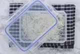 Sai lầm nhiều người mắc phải khi bảo quản bún trong tủ lạnh