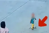 Rắn hổ xòe mang sau khi bị hai đứa trẻ giẫm trúng liên tiếp, đoạn camera 10 giây khiến hàng triệu người xem lạnh gáy