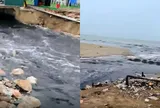 Video: Cận cảnh dòng nước thải đen ngòm tràn ra biển Sầm Sơn