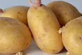 2 loại thực phẩm quen thuộc có thể vẫn còn độc tố sau khi nấu chín, nhiều người chưa biết