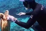 Clip: Bị dây câu siết đến kiệt sức, rùa biển bơi thẳng đến cầu cứu người lặn, cái kết khiến ai cũng xúc động