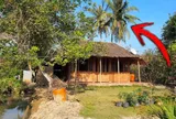Người xưa dặn: "5 cây cảnh này trong nhà không nghèo cũng khó", nhiều nhà không biết vẫn đang trồng