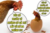 Con gà hay quả trứng có trước? 90% đều không biết câu trả lời đúng