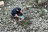 Cán bộ xã lao xuống sông cứu bé trai gặp nạn