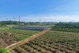 Kể từ 1/7/2026: Người dân bị thu hồi đất sẽ được bồi thường theo hệ số giá đất mới, cụ thể ra sao?
