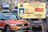 Chính thức: 7 trường hợp bị thu hồi giấy phép đào tạo lái xe ô tô từ ngày 1/7/2026
