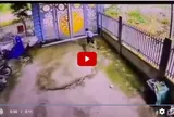 Cụ bà 89 tuổi là vợ liệt sĩ mất tích bí ẩn 5 ngày, công an và bộ đội phát thông báo khẩn tìm kiếm