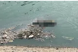 Sáng sớm, người dân phát hiện điều bất thường trên sông Tô Lịch
