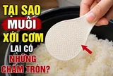 Vì sao muôi xới cơm có những chấm tròn nổi? Nhiều người dùng lâu năm vẫn chưa biết chúng có tới 5 công dụng hữu ích
