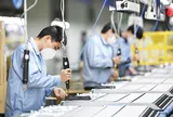 Doanh nghiệp ngừng hoạt động kinh doanh 01 năm mà không thông báo bị phạt bao nhiêu tiền theo Nghị định 288?