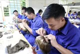Người từ đủ 12 đến dưới 18 tuổi có thể được hoãn, miễn chấp hành quyết định cai nghiện bắt buộc từ 01/8/2026 ra sao?