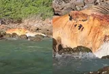 Phát hiện “quái vật” khổng lồ dài hàng chục mét mắc kẹt giữa bãi đá, cảnh tượng khiến người dân hoang mang