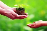 Tháng 7 âm lịch: Làm gì để sống an yên, tích phúc thay vì lo sợ?