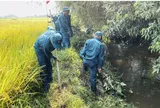 Đội trưởng, Đội phó Đội dân phòng từ 10/8/2026 hưởng 1.012.000 đồng - 1.265.000 đồng/tháng theo Nghị quyết 77 cụ thể ra sao?