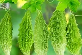 Bác sĩ khuyên người bị bệnh thận chớ dại ăn nhiều 5 loại rau này