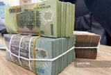 Bí thư chi đoàn và 04 chi hội trưởng được hưởng 2.277.000 đồng/người theo Nghị quyết 33 trong trường hợp nào?
