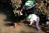 Bé trai tự kỷ mất tích, trực thăng cảnh sát phát hiện cảnh tượng bất ngờ sát cửa sông
