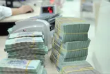 Mỗi người dân được hưởng tiền mặt 250.000 đồng/người/ngày từ nguồn ngân sách cấp tỉnh theo chính sách hỗ trợ tại Quyết định ban hành ngày 10/8/2026 trong trường hợp nào?