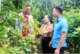9 tiêu chuẩn cụ thể từ 05/9/2026 đối với Trưởng thôn, Tổ trưởng tổ dân phố chi tiết ra sao theo Quyết định 126?