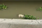 Phát hiện 2 thi thể đàn ông trôi dạt vào bờ sông Sài Gòn, một người mang theo túi có cục bê tông