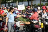 Tiến hành điều tra chi tiêu người lao động tại 34 tỉnh thành phố trực thuộc trung ương ra sao?